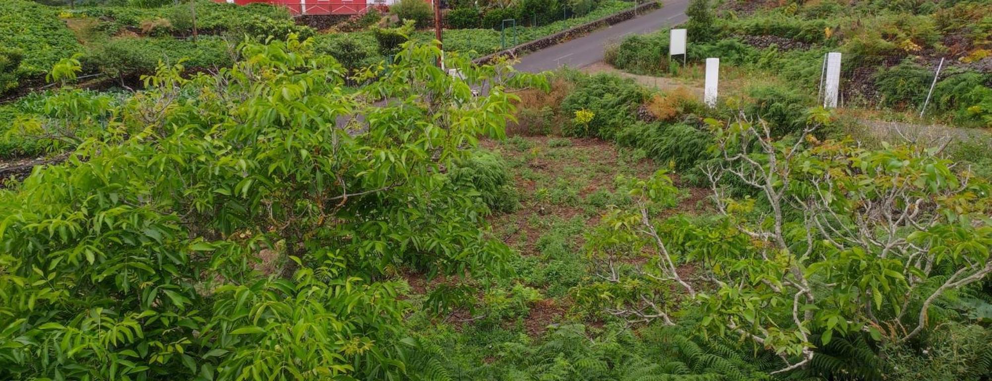 上布雷尼亚La Finca De La Bicicleta别墅 外观 照片